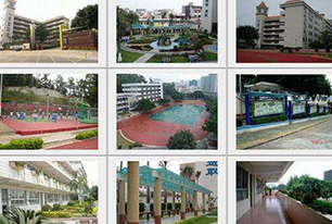 平安校園綜合視頻監控方案(網絡)